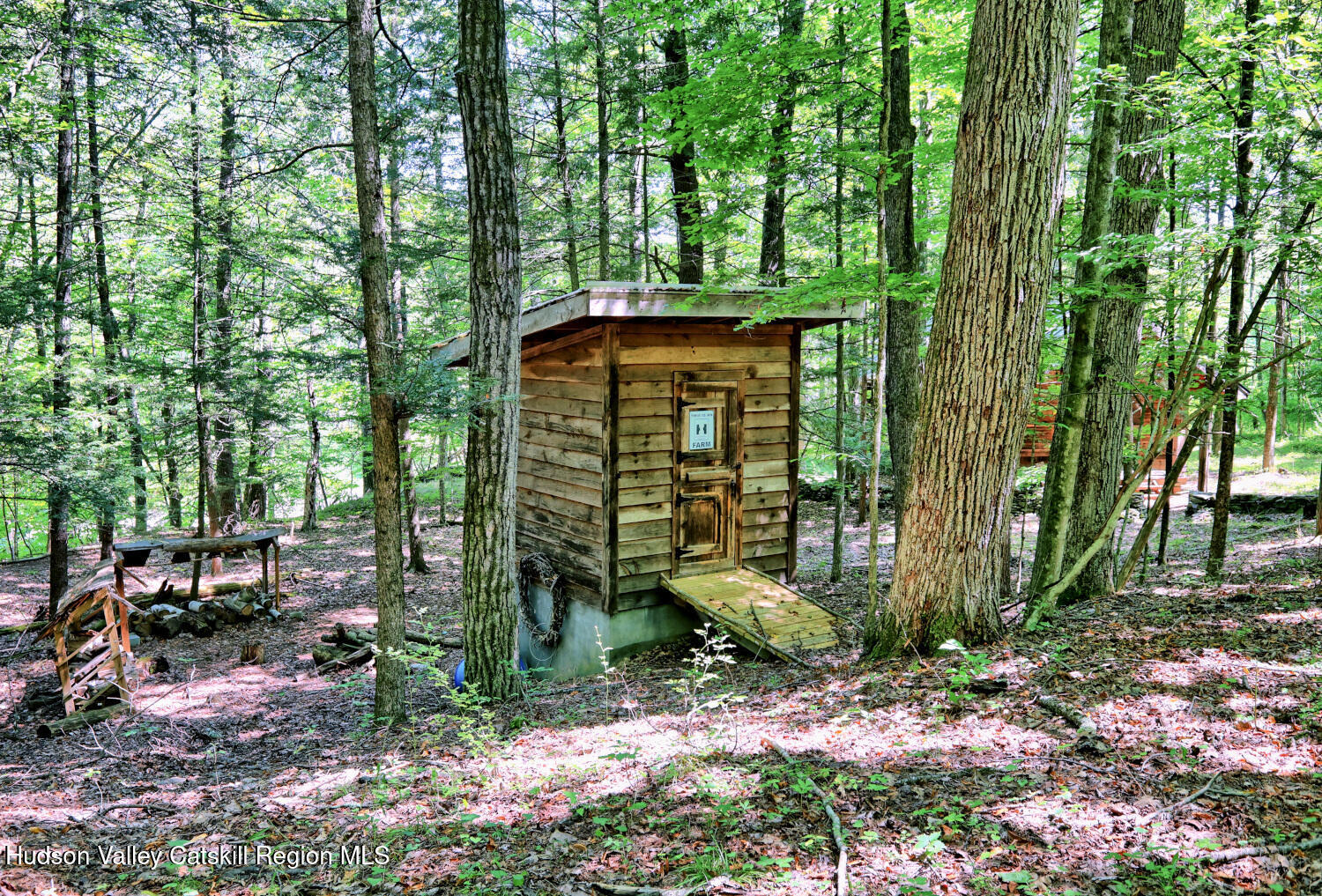 128 West Moorehouse Road Cairo, NY 12413 - Photo 48 of 132 a view of outdoor space and garden