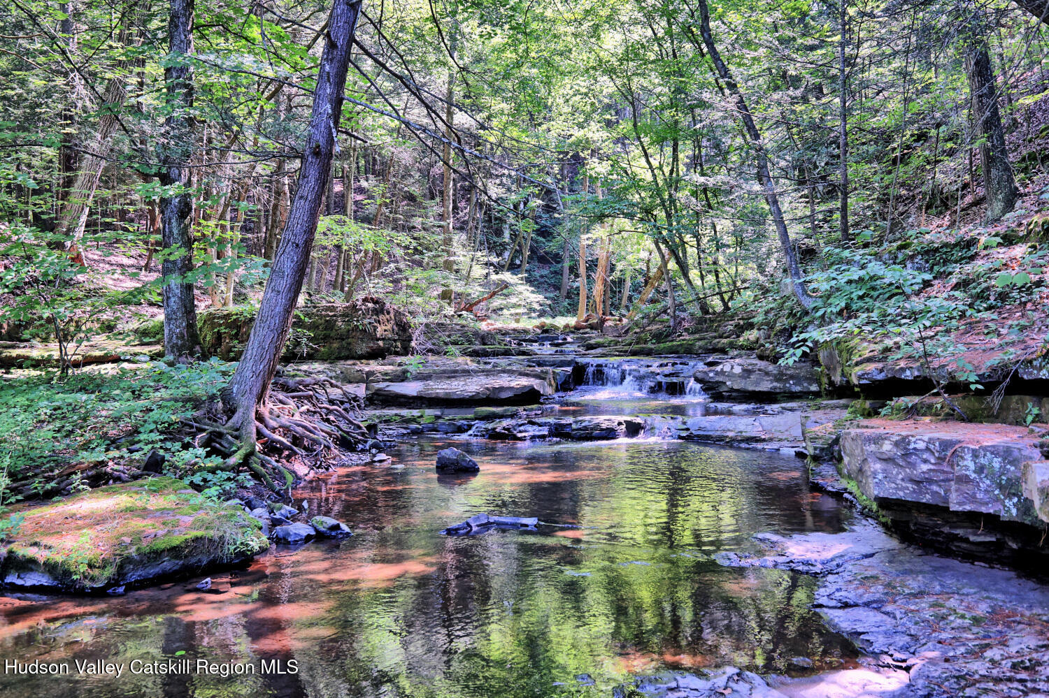 128 West Moorehouse Road Cairo, NY 12413 - Photo 51 of 132 9ze