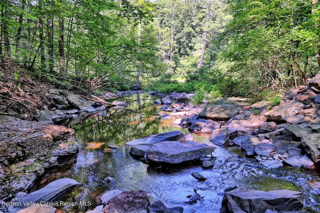 $1,750,000 | 128 West Moorehouse Road, Cairo, NY 12413