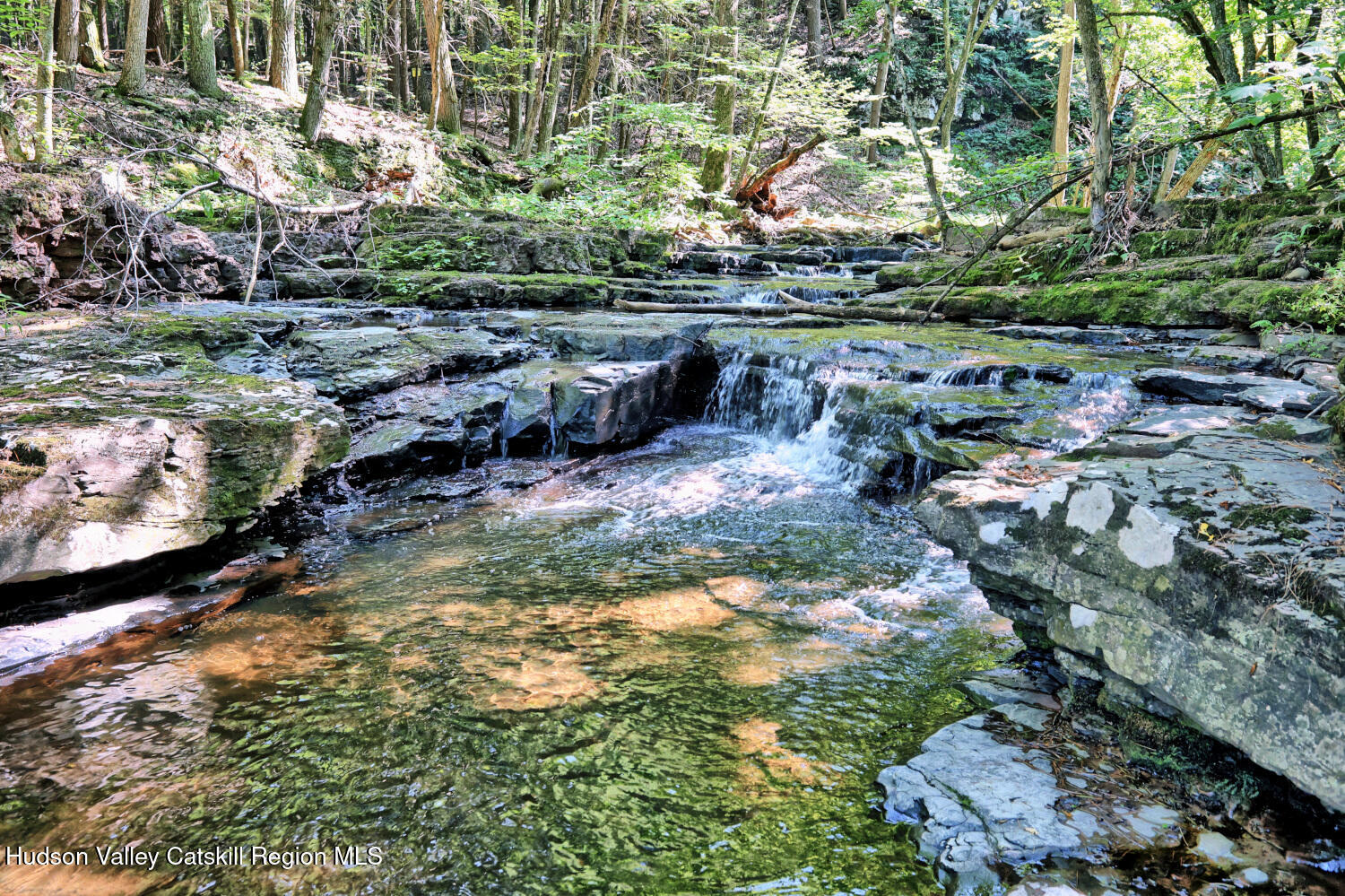 128 West Moorehouse Road Cairo, NY 12413 - Photo 53 of 132 9zg