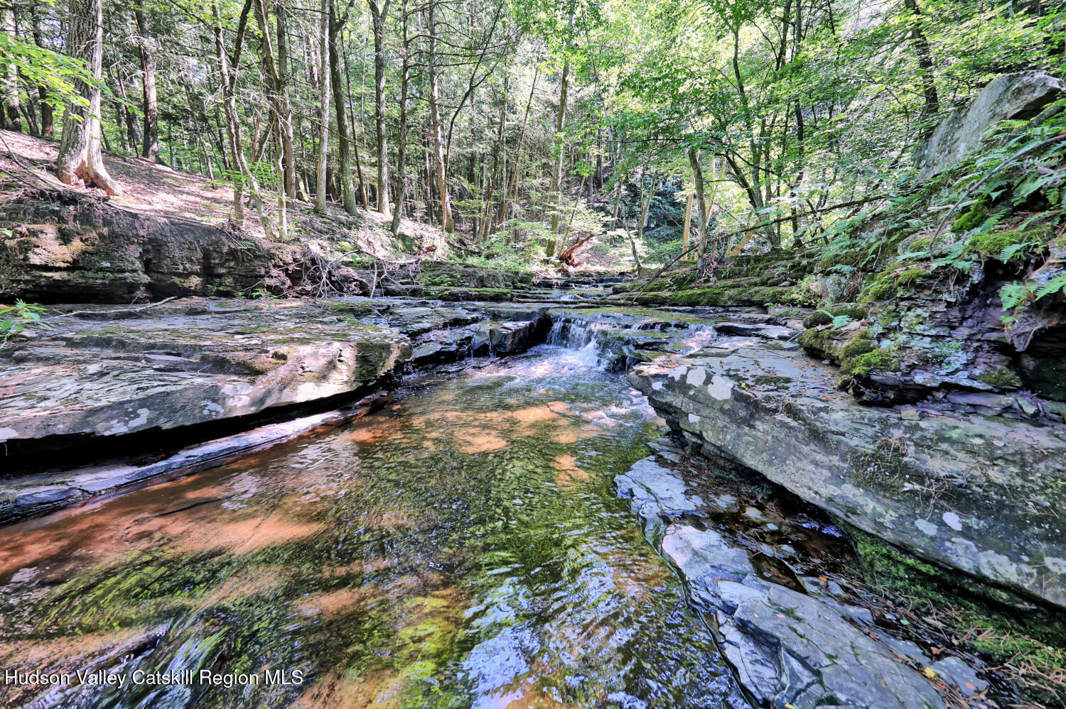 128 West Moorehouse Road Cairo, NY 12413 - Photo 54 of 132 9zh