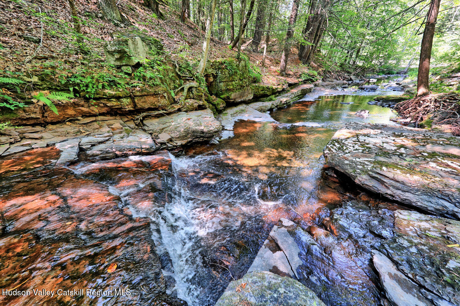 128 West Moorehouse Road Cairo, NY 12413 - Photo 57 of 132 9zk