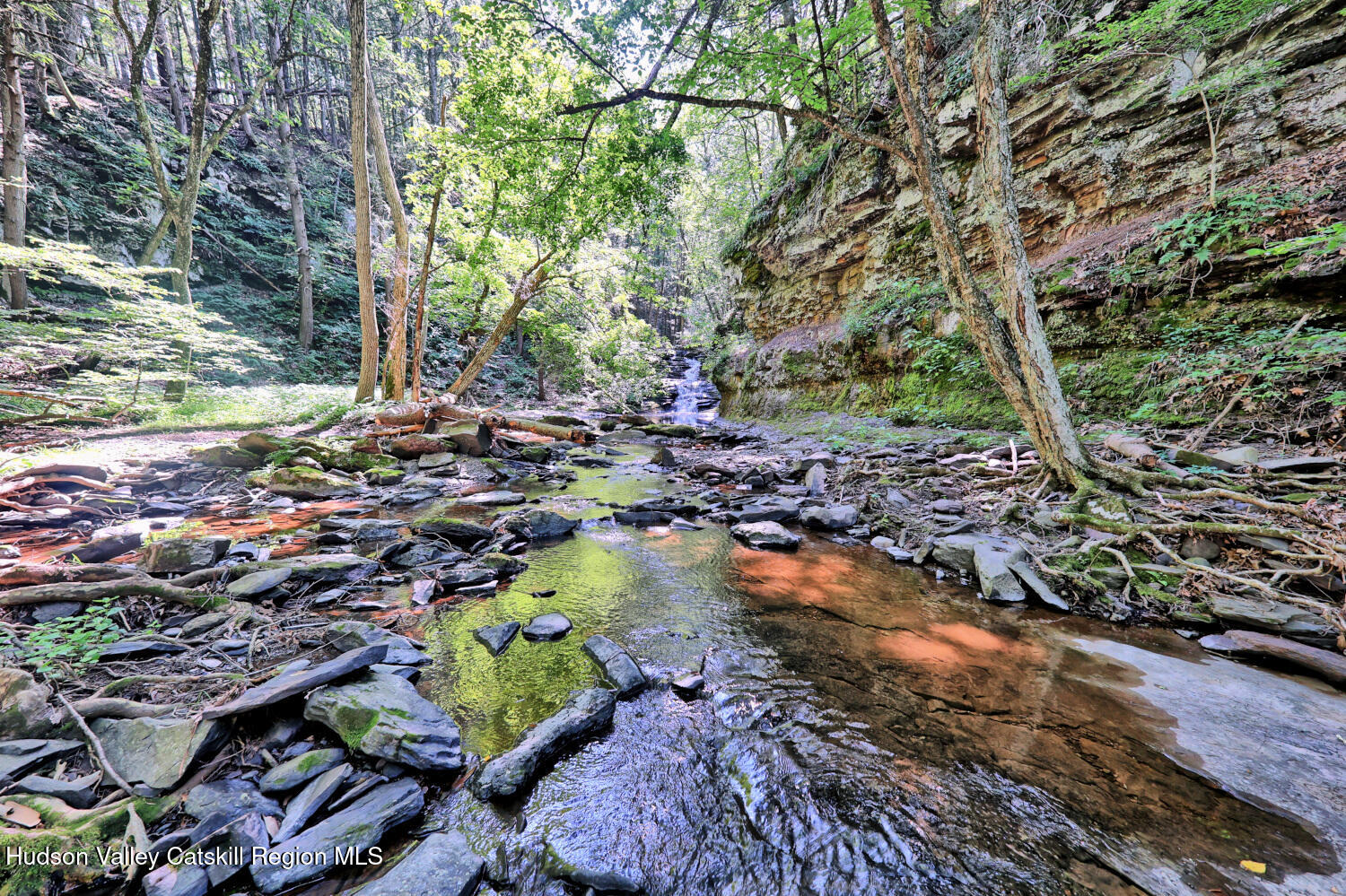 128 West Moorehouse Road Cairo, NY 12413 - Photo 58 of 132 9zl