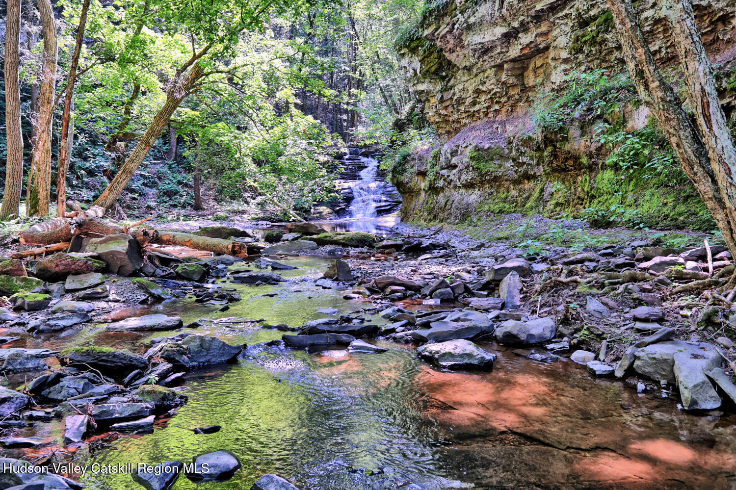 128 West Moorehouse Road Cairo, NY 12413 - Photo 59 of 132 9zm