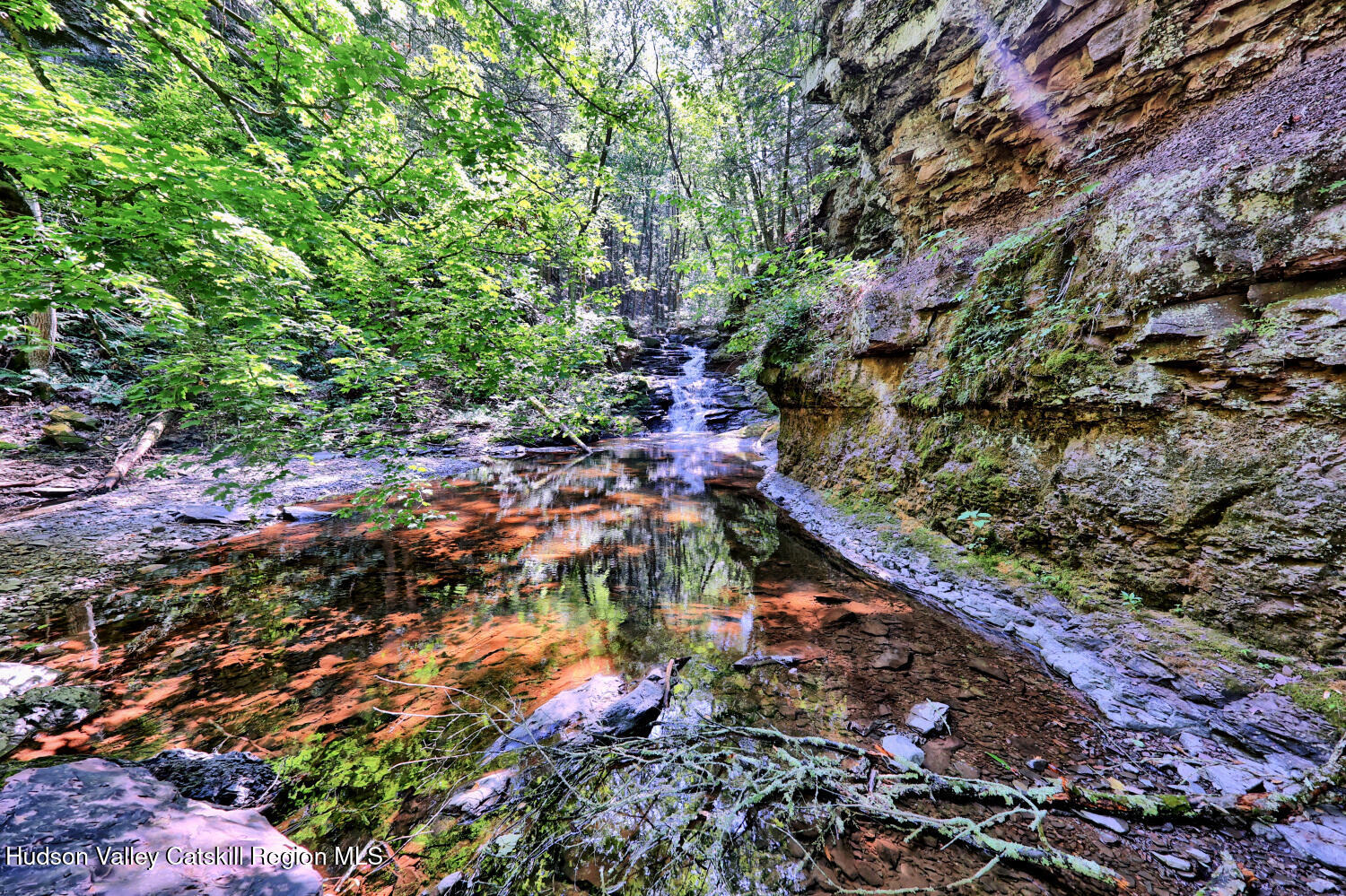 128 West Moorehouse Road Cairo, NY 12413 - Photo 61 of 132 9zo