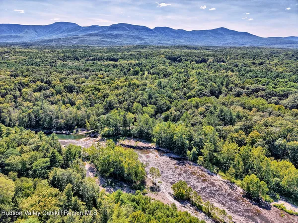 a view of dirt road with trees in the background