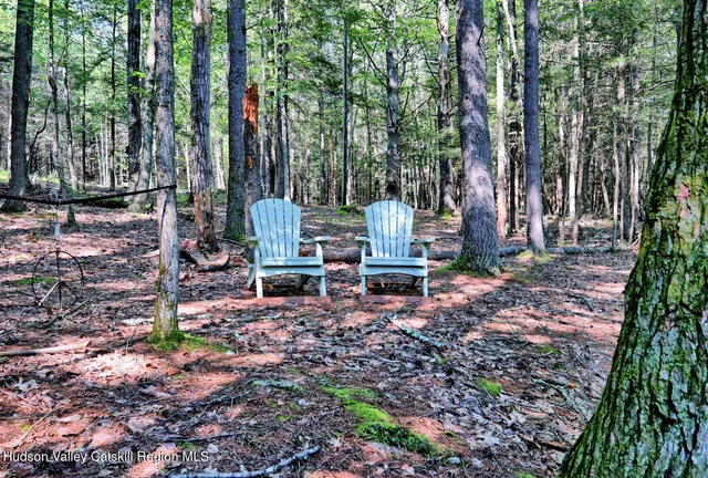 $1,750,000 | 128 West Moorehouse Road, Cairo, NY 12413