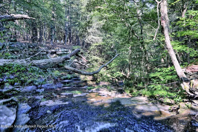 $1,750,000 | 128 West Moorehouse Road, Cairo, NY 12413