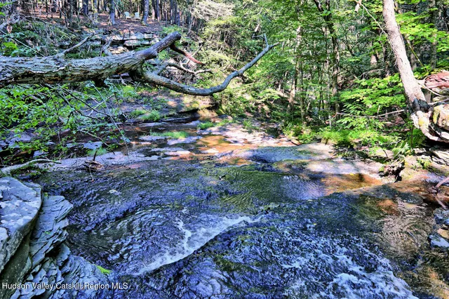 $1,750,000 | 128 West Moorehouse Road, Cairo, NY 12413