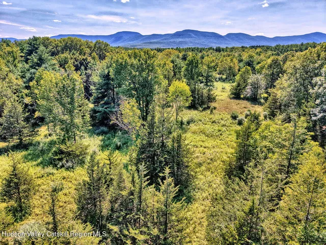 $1,750,000 | 128 West Moorehouse Road, Cairo, NY 12413