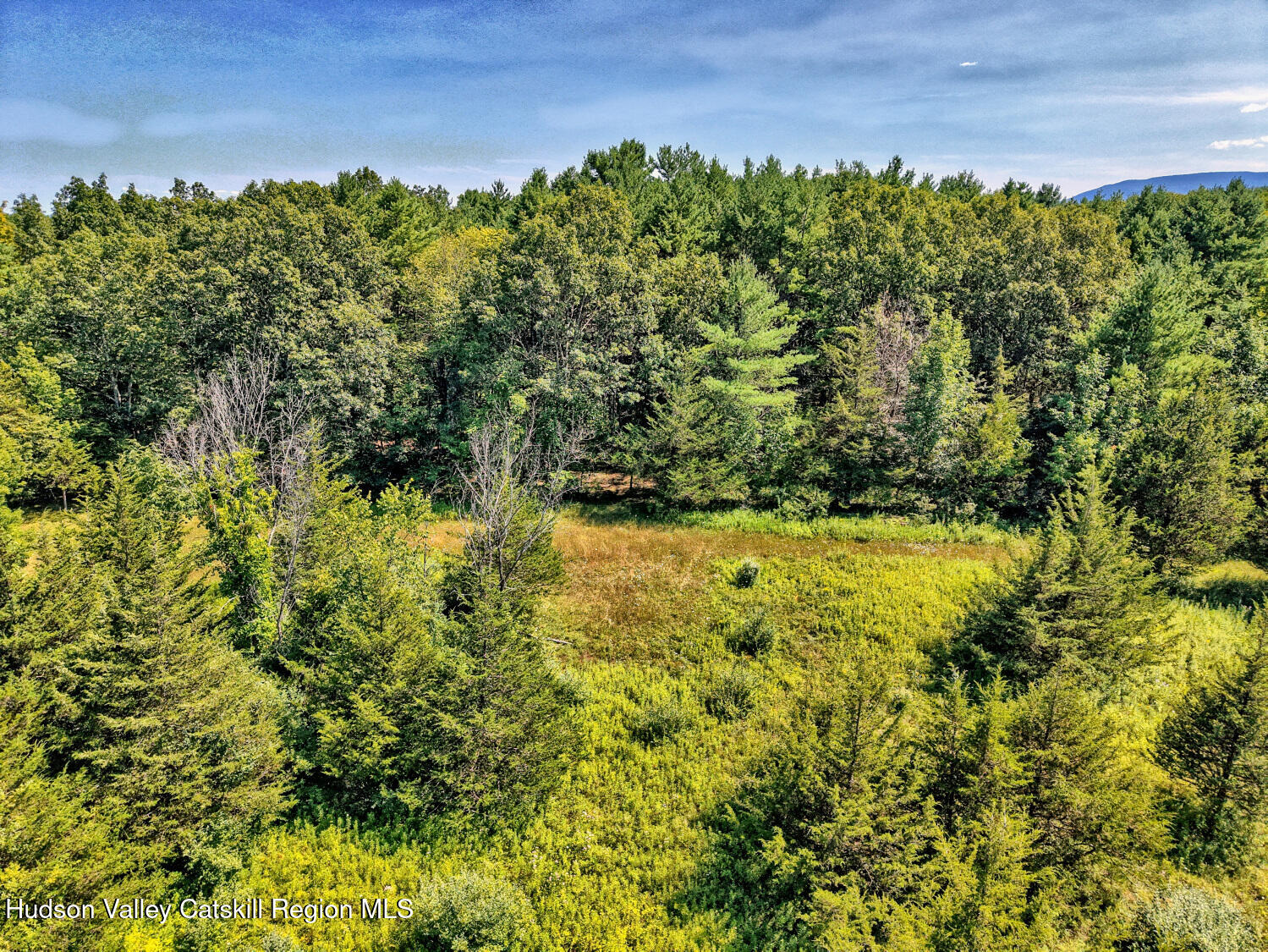 128 West Moorehouse Road Cairo, NY 12413 - Photo 77 of 132 a view of a large yard with lots of green space