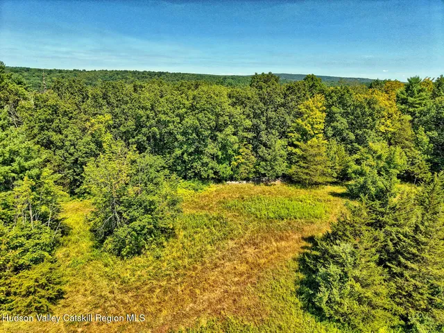 $1,750,000 | 128 West Moorehouse Road, Cairo, NY 12413