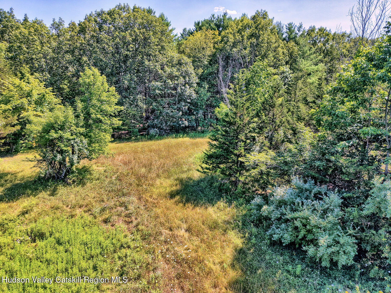 128 West Moorehouse Road Cairo, NY 12413 - Photo 79 of 132 a view of a yard with a tree