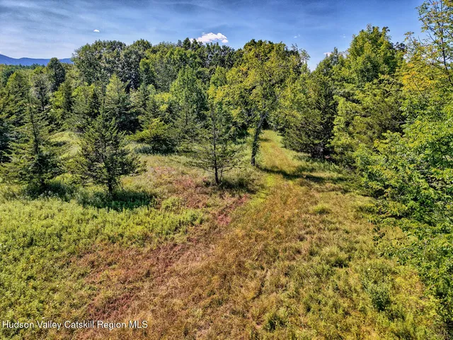 $1,750,000 | 128 West Moorehouse Road, Cairo, NY 12413