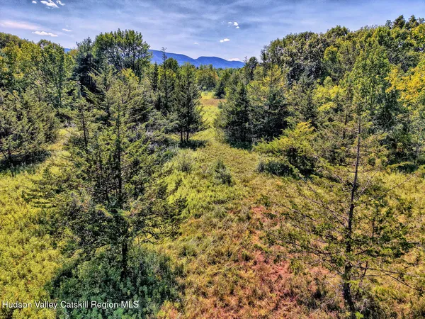 $1,750,000 | 128 West Moorehouse Road, Cairo, NY 12413