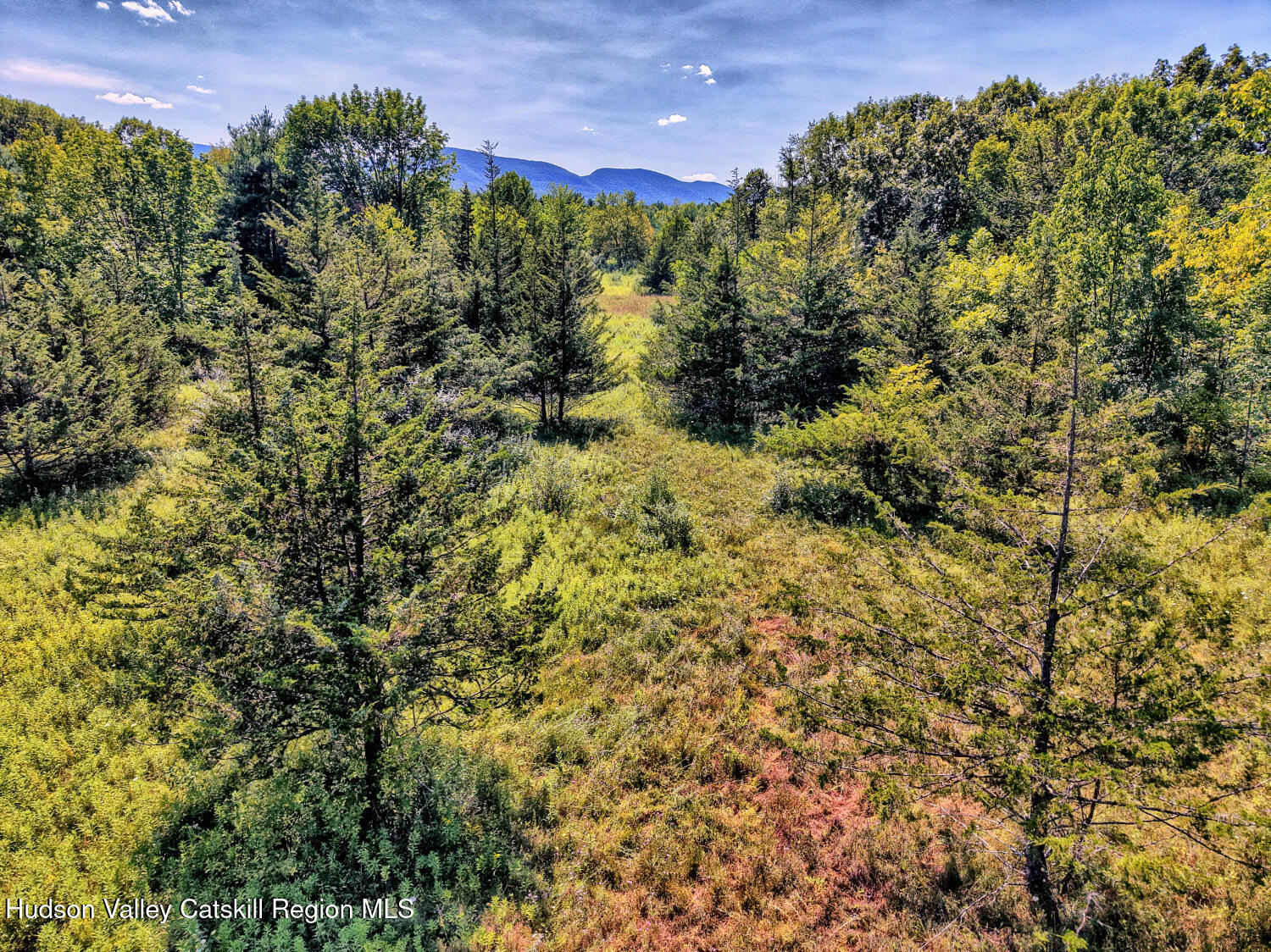 128 West Moorehouse Road Cairo, NY 12413 - Photo 81 of 132 9zzi