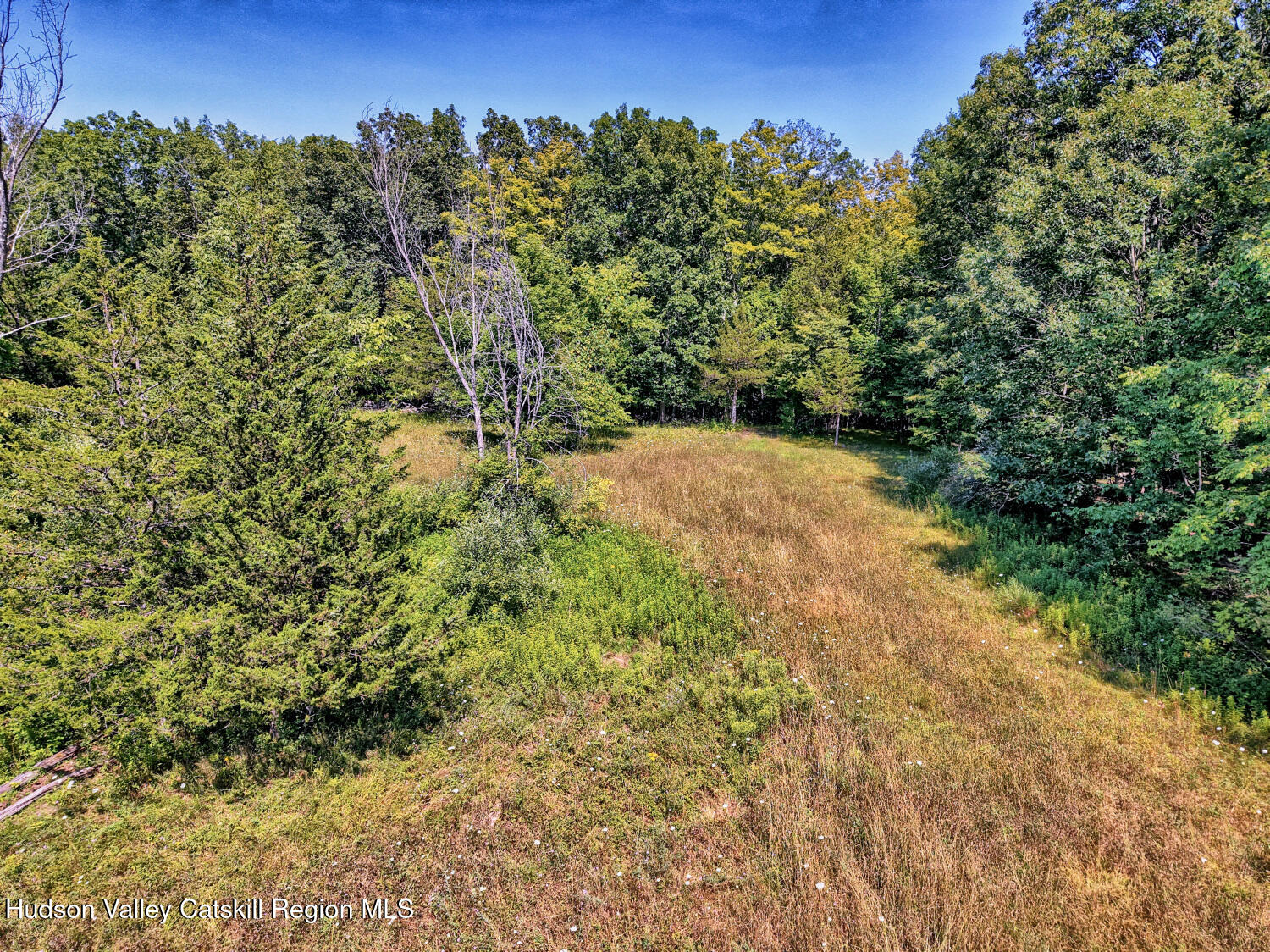 128 West Moorehouse Road Cairo, NY 12413 - Photo 82 of 132 9zzj