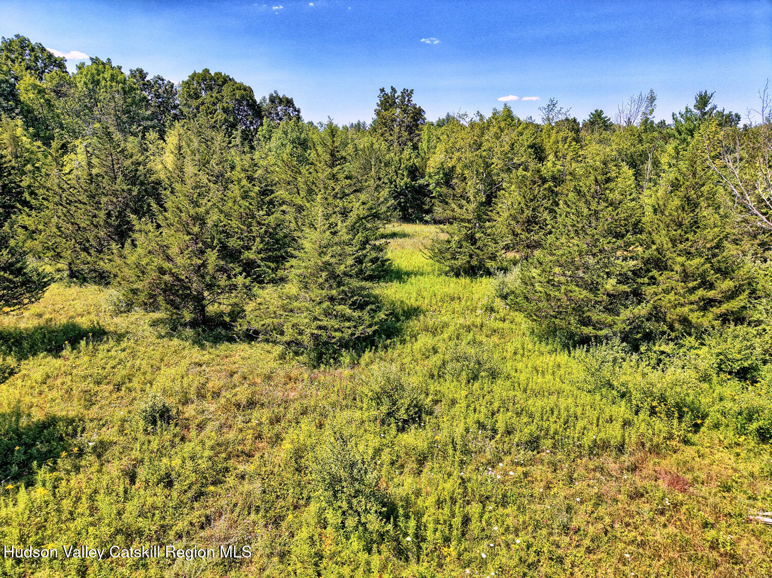 128 West Moorehouse Road Cairo, NY 12413 - Photo 83 of 132 9zzk