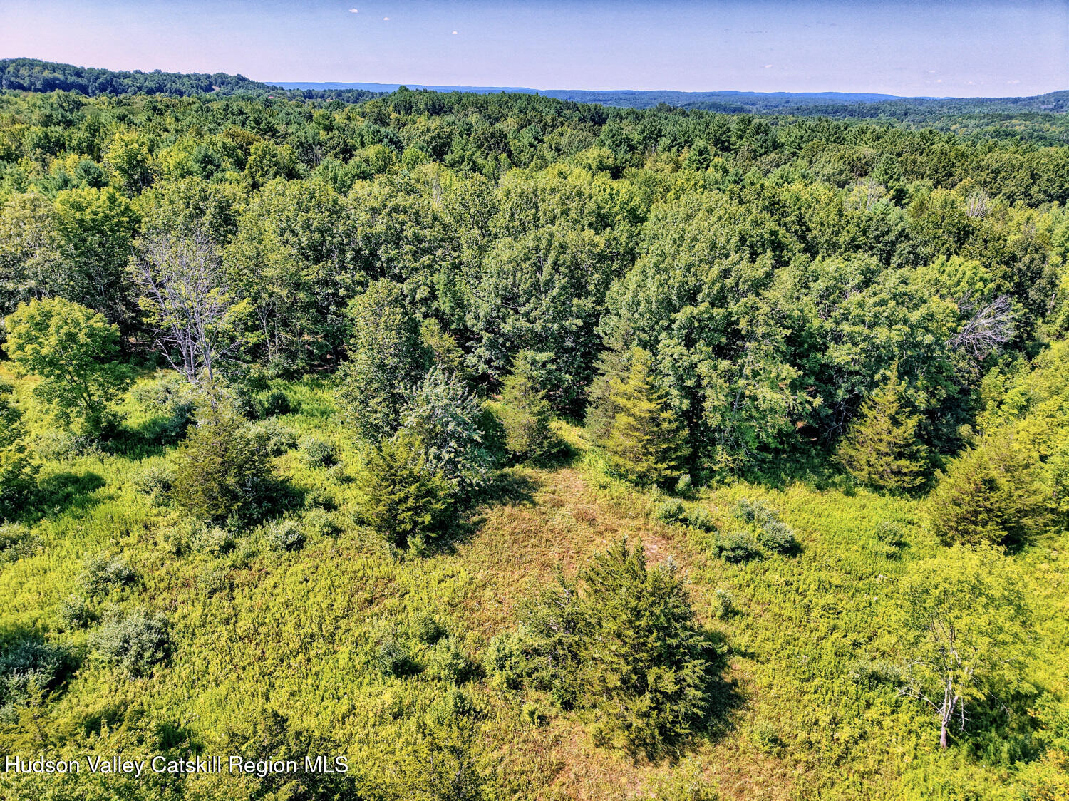 128 West Moorehouse Road Cairo, NY 12413 - Photo 84 of 132 a view of a lush green field