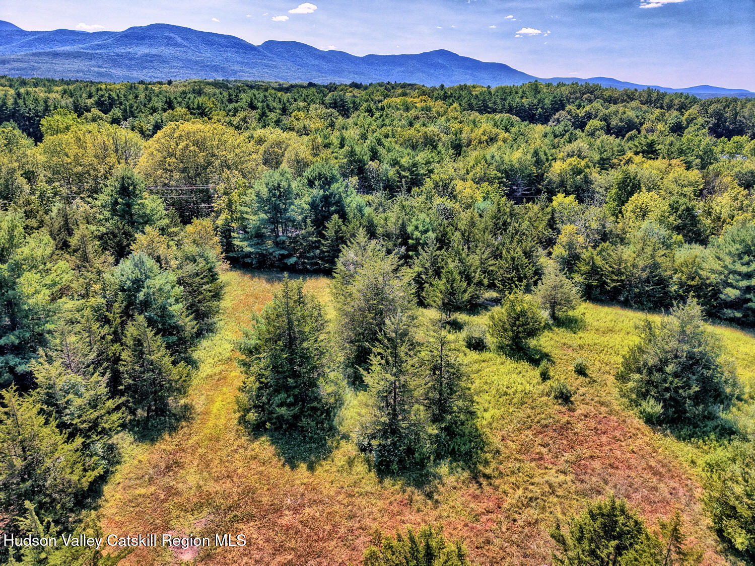 128 West Moorehouse Road Cairo, NY 12413 - Photo 85 of 132 a view of a lush green field with mountains in the background