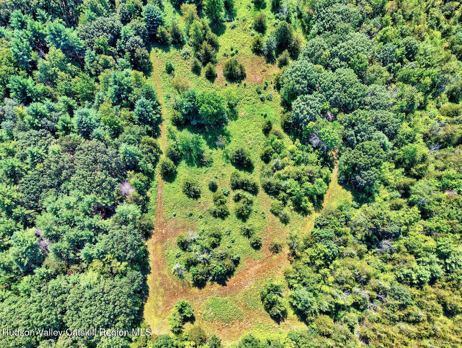 128 West Moorehouse Road Cairo, NY 12413 - Photo 91 of 132 view of a lush green forest with lots of trees