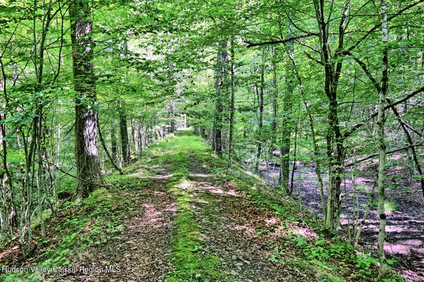 $1,750,000 | 128 West Moorehouse Road, Cairo, NY 12413