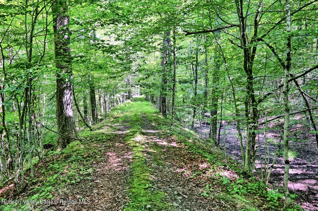 $1,750,000 | 128 West Moorehouse Road, Cairo, NY 12413