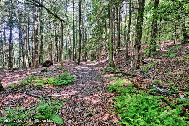 $1,750,000 | 128 West Moorehouse Road, Cairo, NY 12413