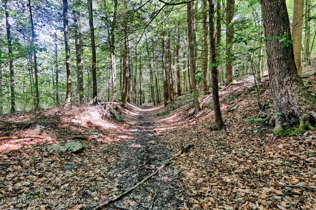 $1,750,000 | 128 West Moorehouse Road, Cairo, NY 12413