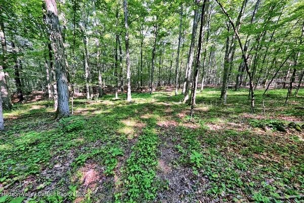 $1,750,000 | 128 West Moorehouse Road, Cairo, NY 12413