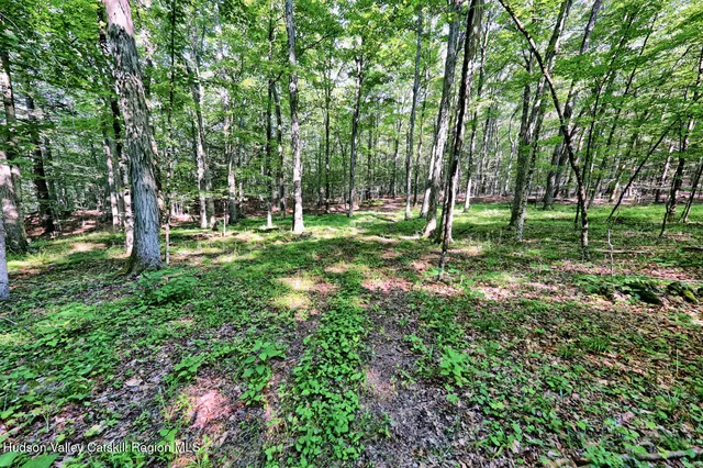 $1,750,000 | 128 West Moorehouse Road, Cairo, NY 12413