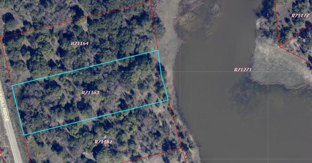 1065 Bluegill Ridge Bluff Dale, TX 76433 - Photo 4 of 19