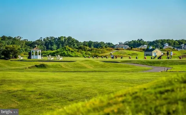 a view of a grassy field with an trees