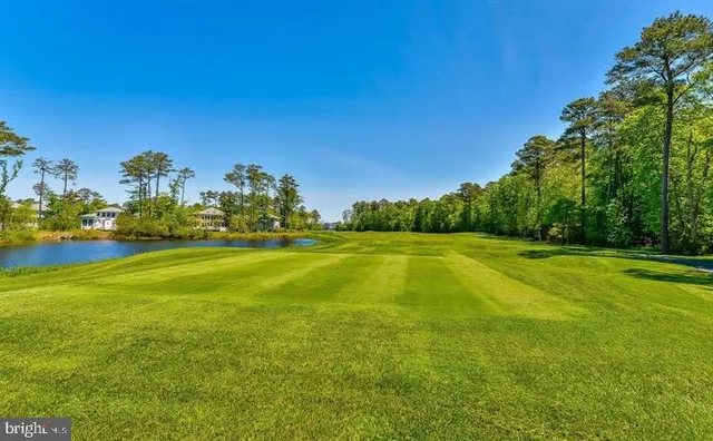 a view of a green field