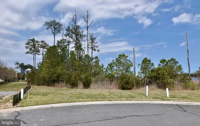 a view of a yard with a tree