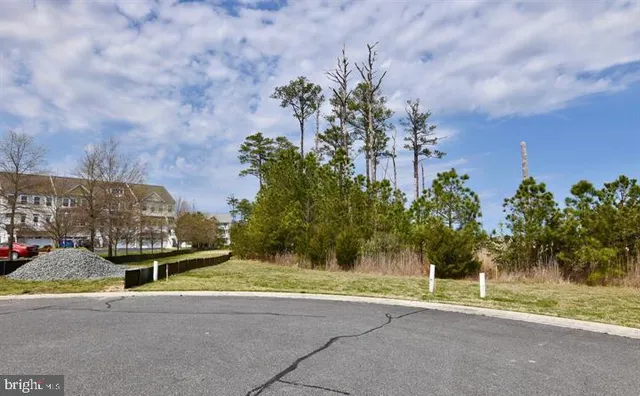 a view of a house with a yard and potted plants