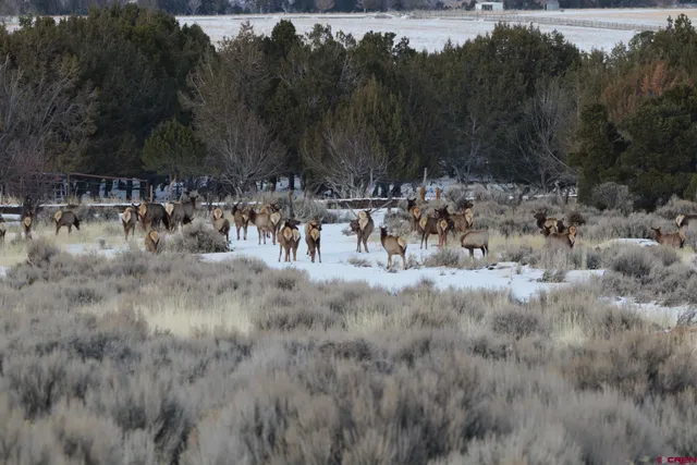 a view of a yard with a table and chairs