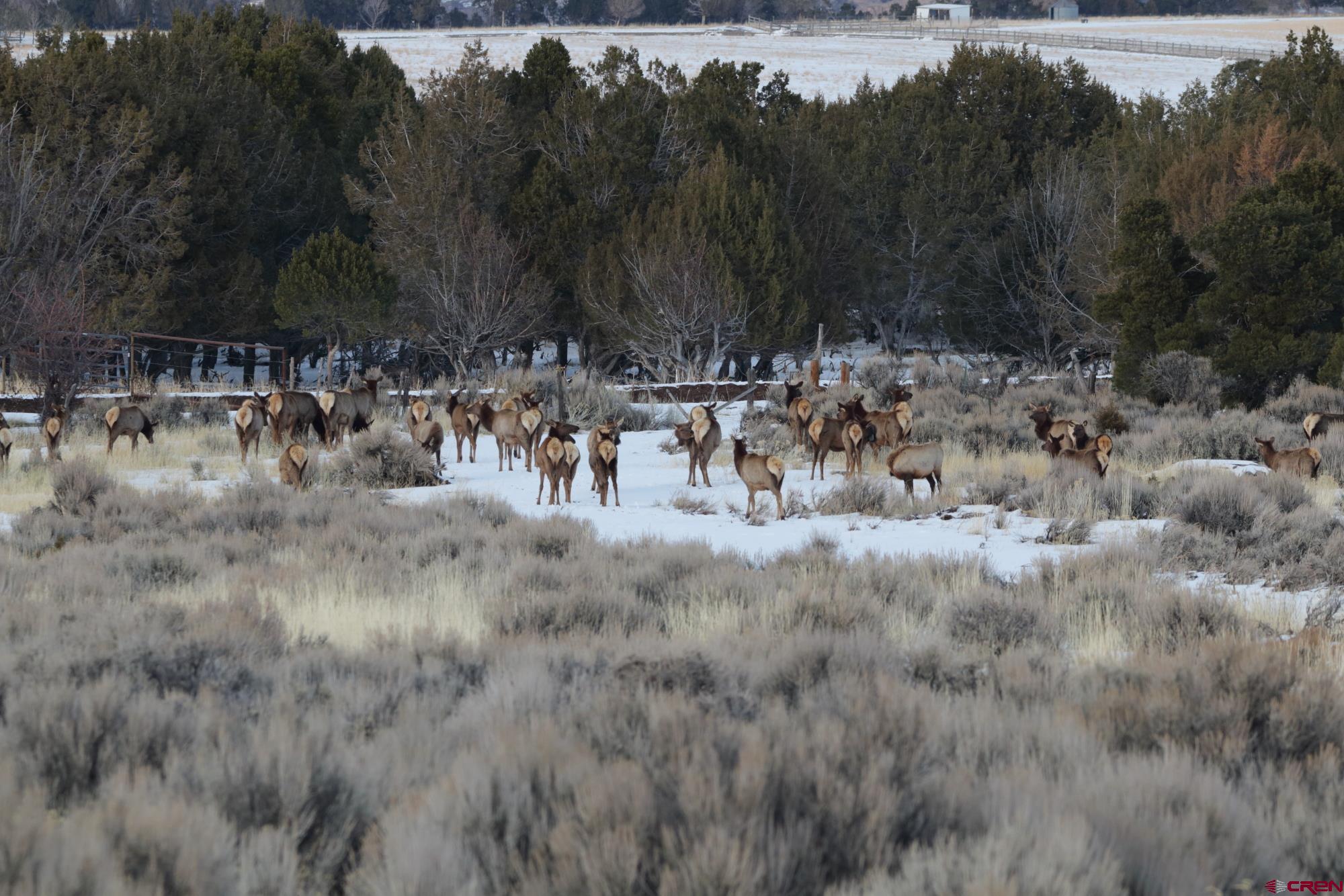 75707 B76 Road Crawford, CO 81415 - Photo 12 of 44 a view of a yard with a table and chairs