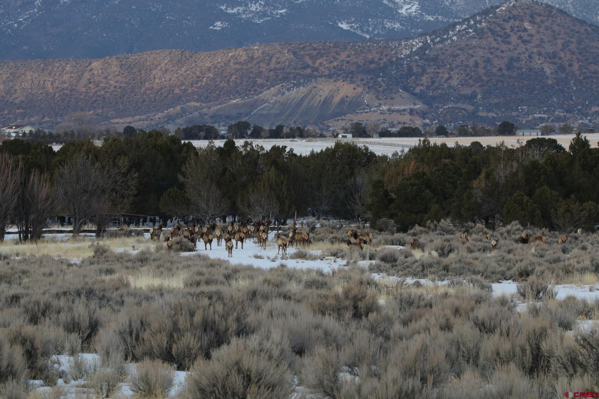 75707 B76 Road Crawford, CO 81415 - Photo 13 of 44 a view of a backyard