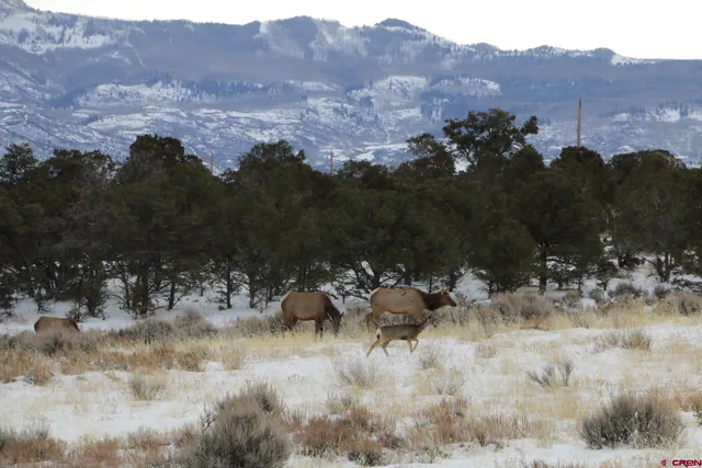 an aerial view of house with yard and mountain view