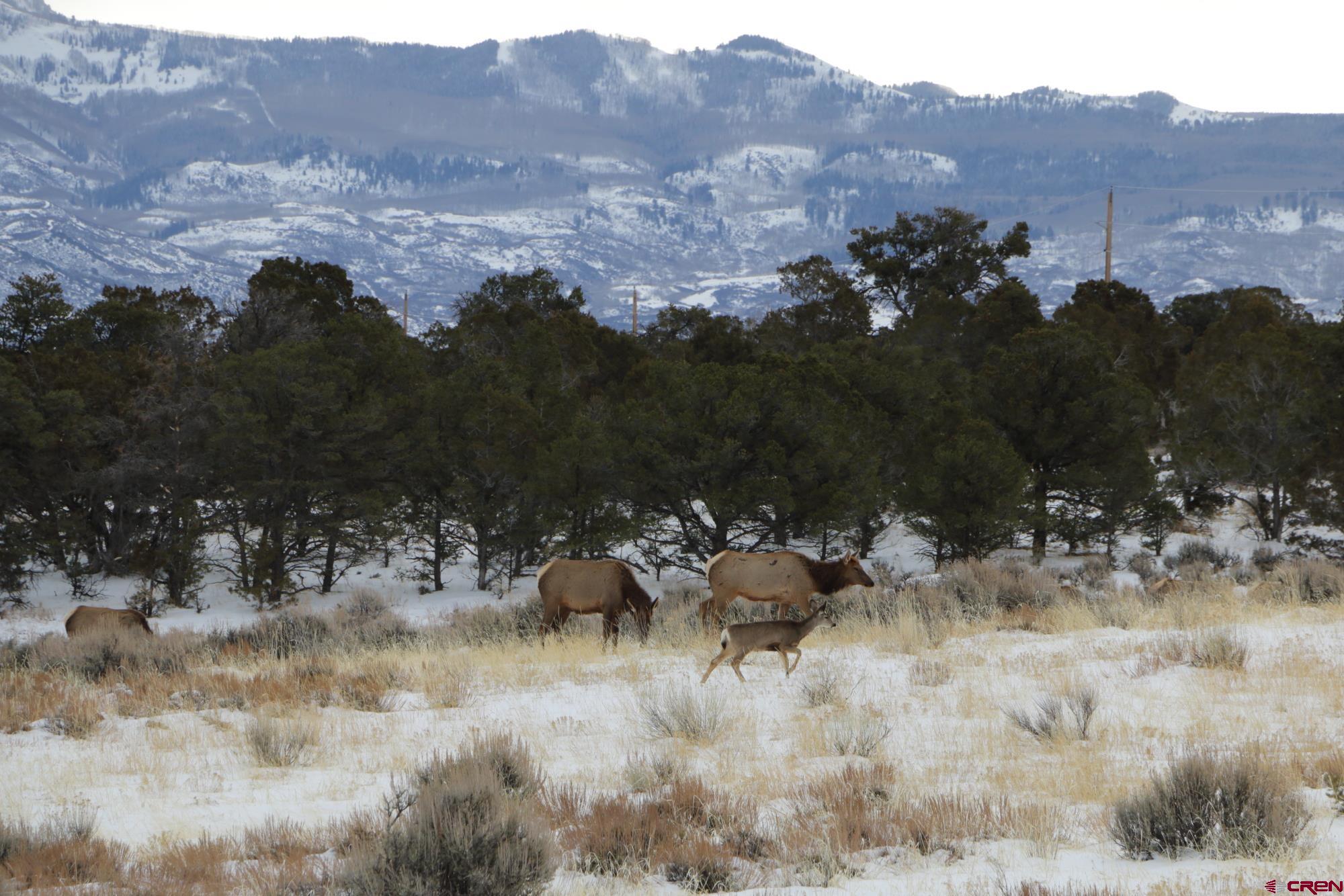 75707 B76 Road Crawford, CO 81415 - Photo 14 of 44 an aerial view of house with yard and mountain view
