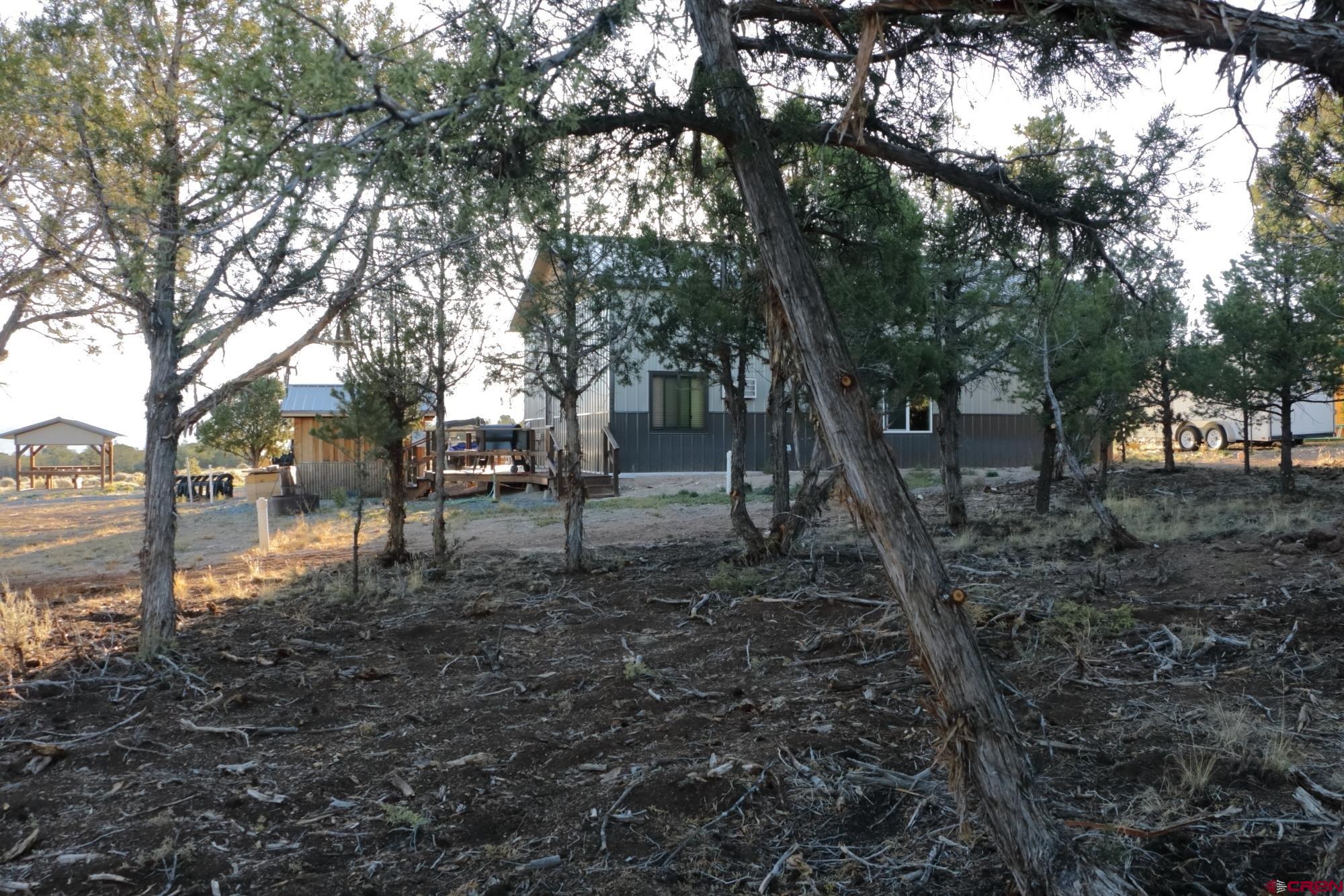 75707 B76 Road Crawford, CO 81415 - Photo 15 of 44 a backyard of a house with lots of green space