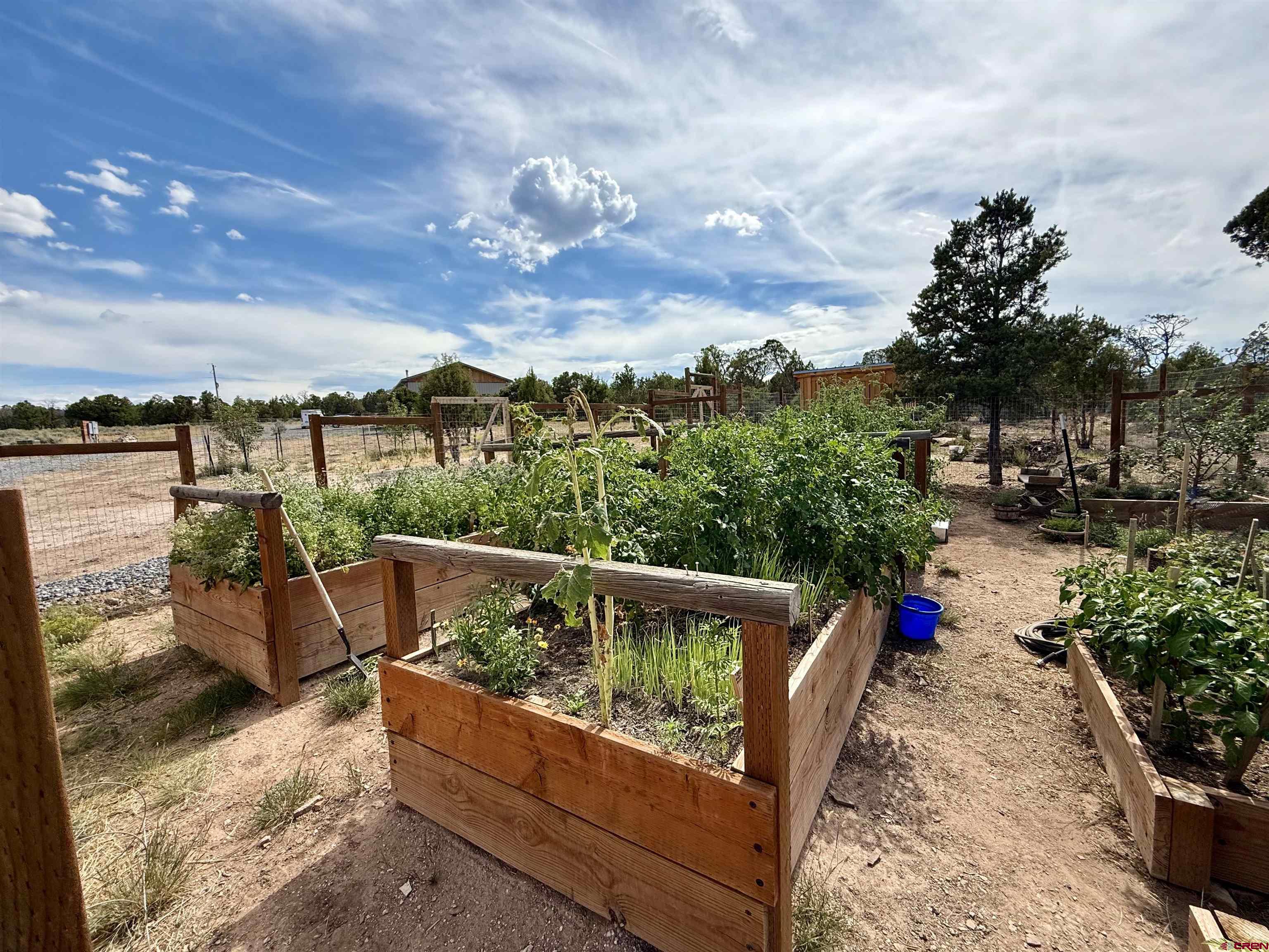 75707 B76 Road Crawford, CO 81415 - Photo 24 of 44 a view of a two chair in the roof deck