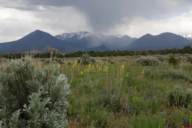 a view of a lush green hillside and a houses
