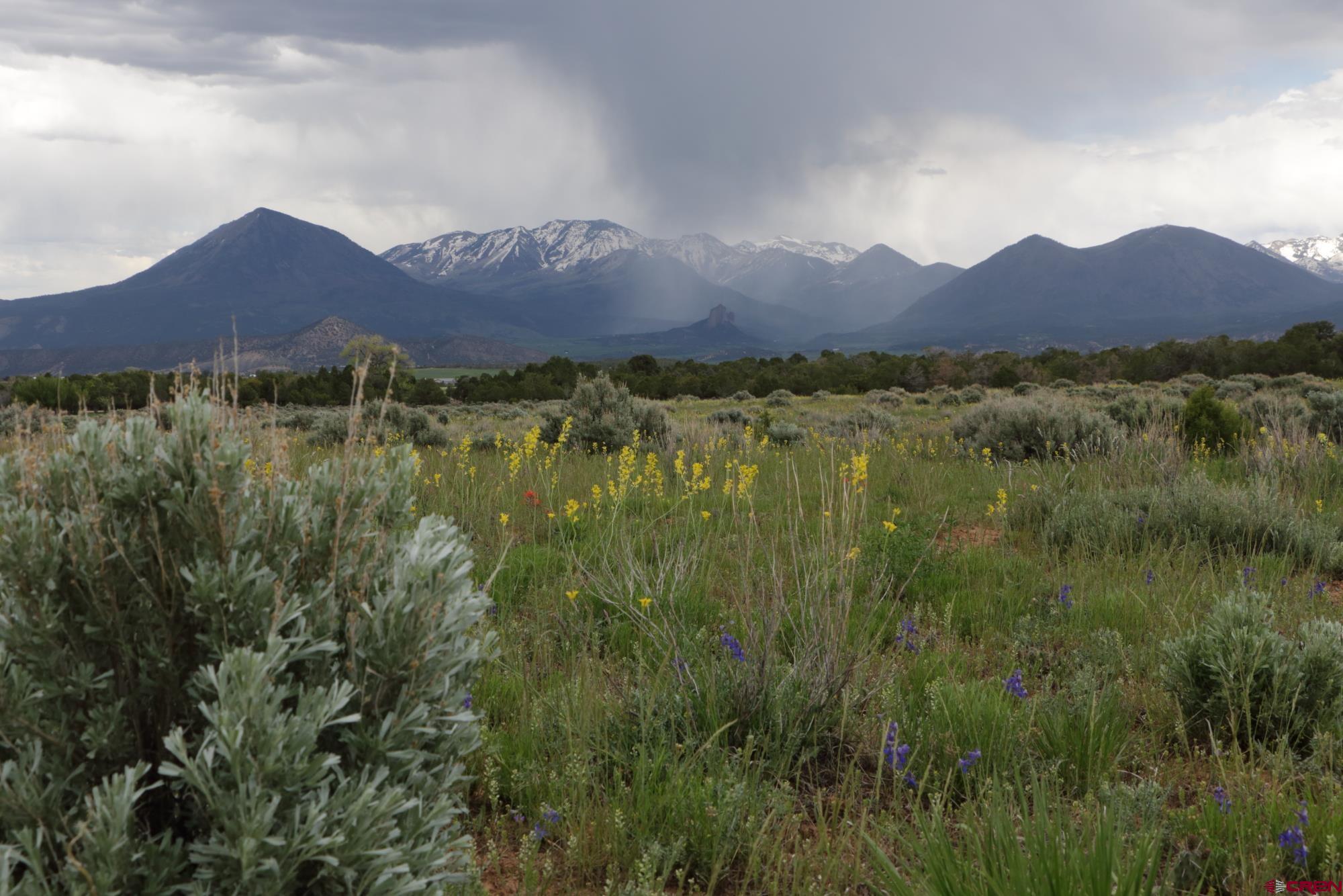 75707 B76 Road Crawford, CO 81415 - Photo 4 of 44 a view of a lush green hillside and a houses