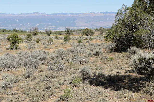 a view of a field with a mountain in the background