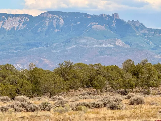 a view of a dry yard