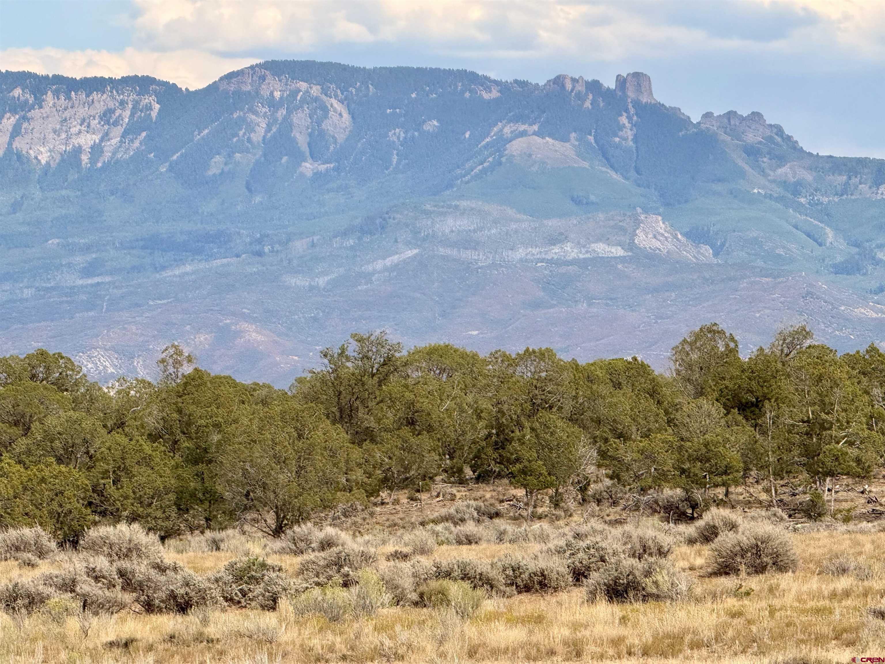 75707 B76 Road Crawford, CO 81415 - Photo 6 of 44 a view of a dry yard