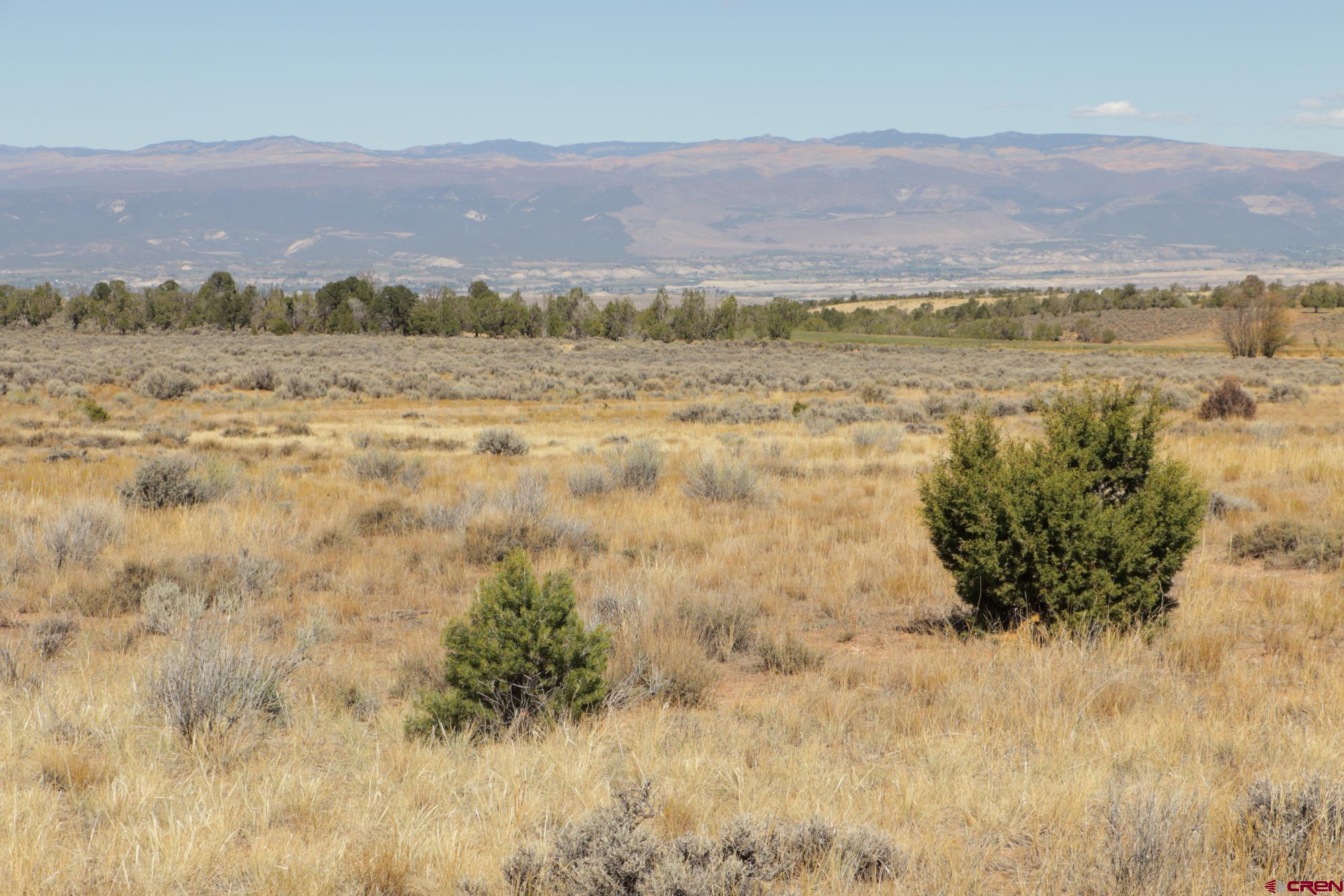 75707 B76 Road Crawford, CO 81415 - Photo 7 of 44 a view of an outdoor space and mountain view