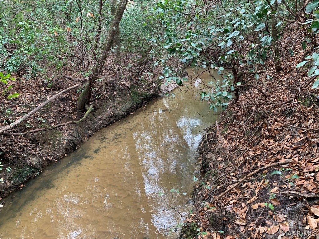 0 Ray Armstrong Road Andalusia, AL 36421 - Photo 16 of 34 Gallery Image 16